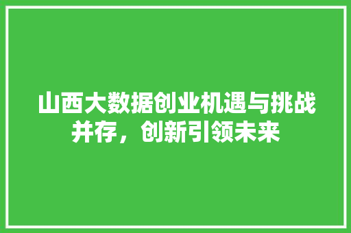 山西大数据创业机遇与挑战并存，创新引领未来