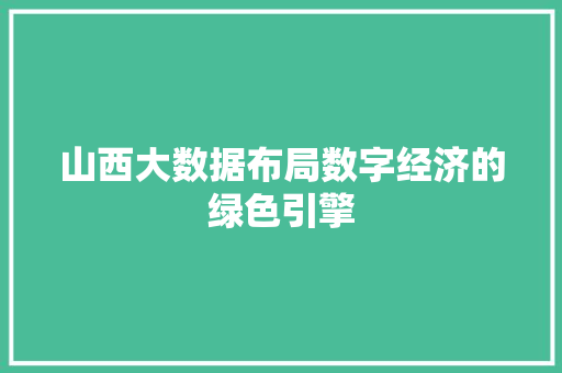 山西大数据布局数字经济的绿色引擎