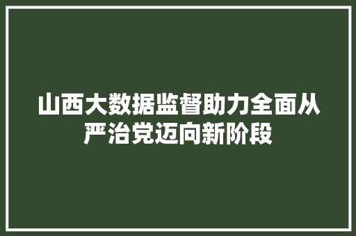 山西大数据监督助力全面从严治党迈向新阶段