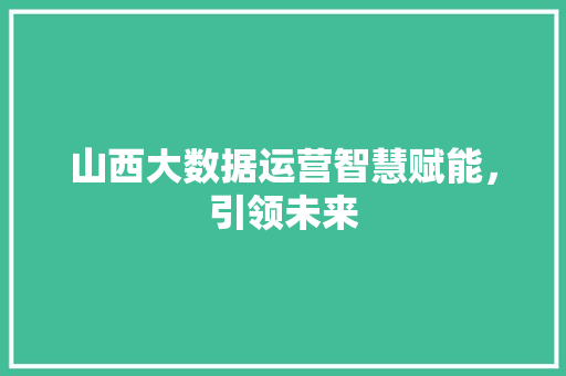 山西大数据运营智慧赋能,引领未来 山西大数据运营智慧赋能,引领未来