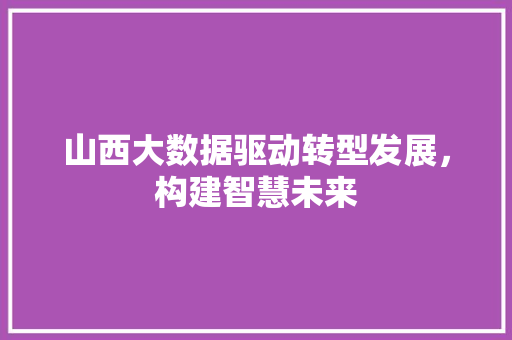 山西大数据驱动转型发展，构建智慧未来