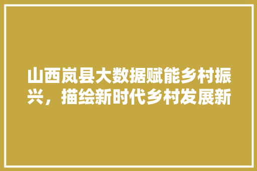 山西岚县大数据赋能乡村振兴，描绘新时代乡村发展新画卷