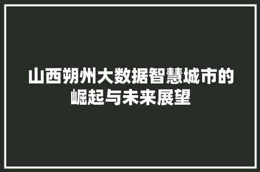 山西朔州大数据智慧城市的崛起与未来展望