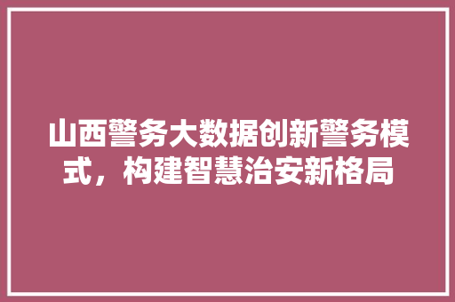 山西警务大数据创新警务模式，构建智慧治安新格局 操作系统