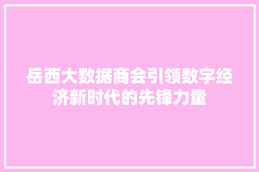 岳西大数据商会引领数字经济新时代的先锋力量