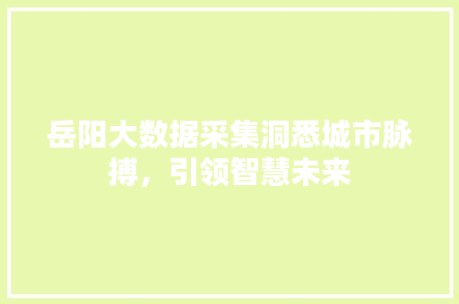 岳阳大数据采集洞悉城市脉搏，引领智慧未来