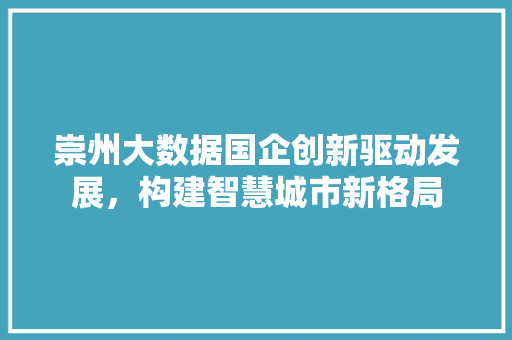 崇州大数据国企创新驱动发展，构建智慧城市新格局