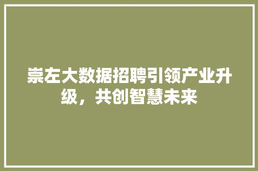 崇左大数据招聘引领产业升级,共创智慧未来 崇左大数据招聘引领产业升级,共创智慧未来