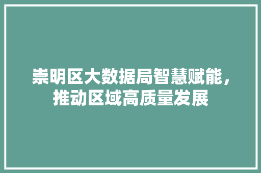 崇明区大数据局智慧赋能,推动区域高质量发展 崇明区大数据局智慧赋能,推动区域高质量发展