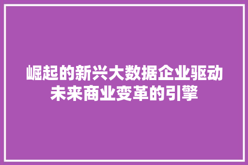 崛起的新兴大数据企业驱动未来商业变革的引擎