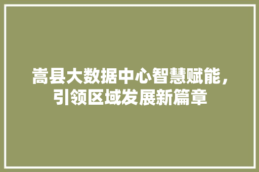 嵩县大数据中心智慧赋能，引领区域发展新篇章