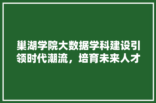 巢湖学院大数据学科建设引领时代潮流，培育未来人才