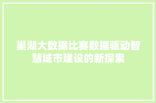 巢湖大数据比赛数据驱动智慧城市建设的新探索