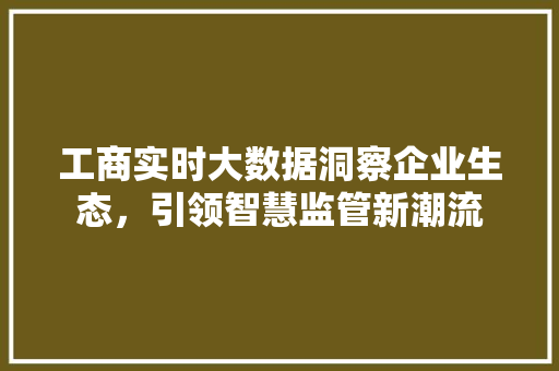 工商实时大数据洞察企业生态，引领智慧监管新潮流