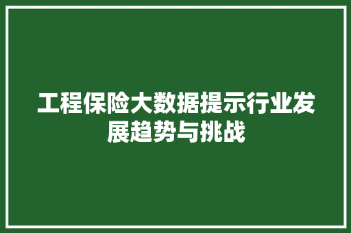 工程保险大数据提示行业发展趋势与挑战
