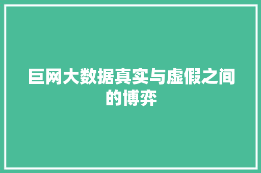 巨网大数据真实与虚假之间的博弈