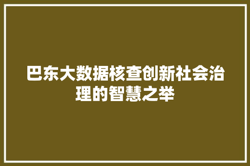 巴东大数据核查创新社会治理的智慧之举