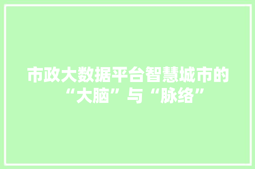 市政大数据平台智慧城市的“大脑”与“脉络” 网络技术