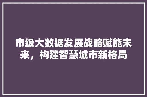 市级大数据发展战略赋能未来，构建智慧城市新格局