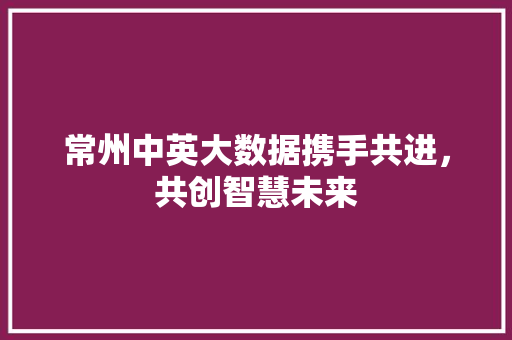 常州中英大数据携手共进，共创智慧未来