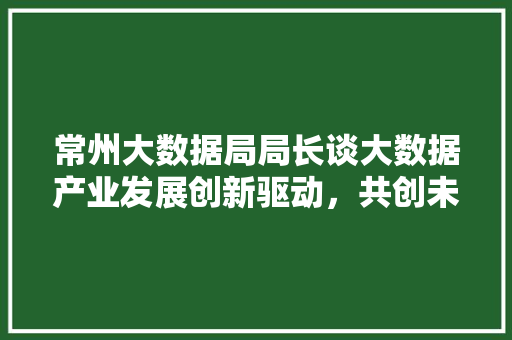 常州大数据局局长谈大数据产业发展创新驱动，共创未来