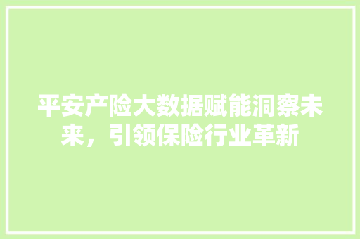 平安产险大数据赋能洞察未来，引领保险行业革新