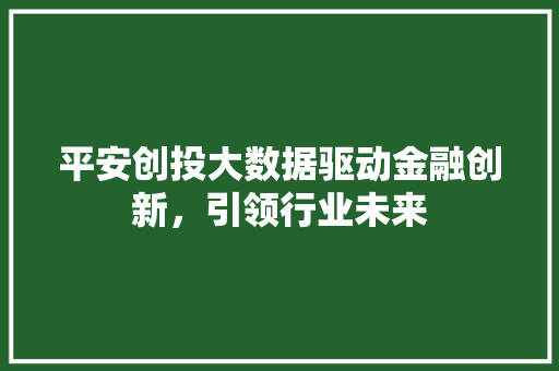 平安创投大数据驱动金融创新，引领行业未来