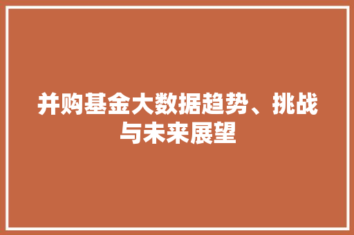 并购基金大数据趋势、挑战与未来展望