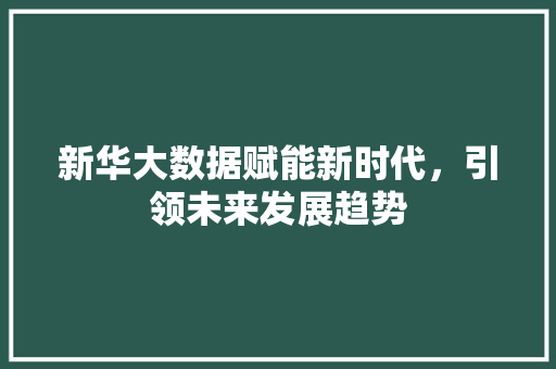 新华大数据赋能新时代,引领未来发展趋势 新华大数据赋能新时代,引领未来发展趋势