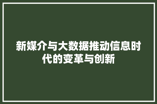 新媒介与大数据推动信息时代的变革与创新