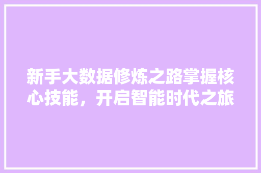 新手大数据修炼之路掌握核心技能，开启智能时代之旅