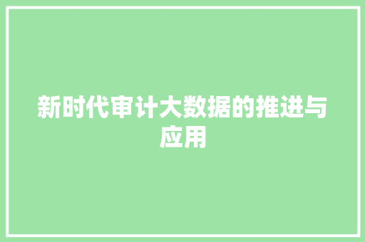 新时代审计大数据的推进与应用 新时代审计大数据的推进与应用