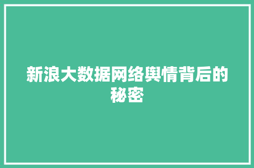 新浪大数据网络舆情背后的秘密