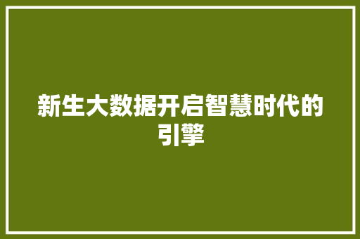 新生大数据开启智慧时代的引擎
