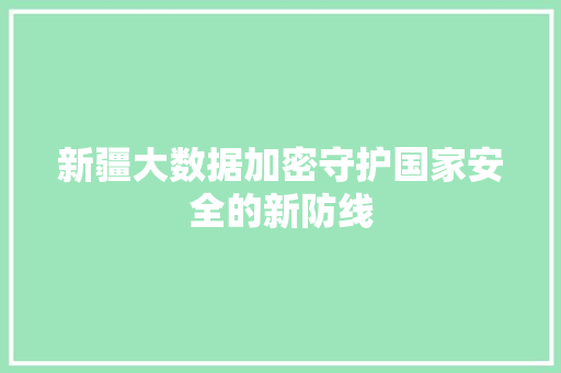 新疆大数据加密守护国家安全的新防线 新疆大数据加密守护国家安全的新防线