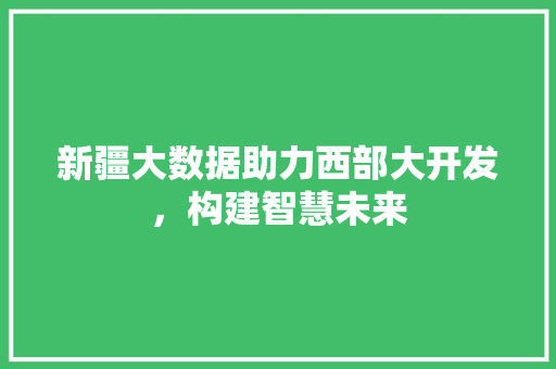 新疆大数据助力西部大开发,构建智慧未来 新疆大数据助力西部大开发,构建智慧未来