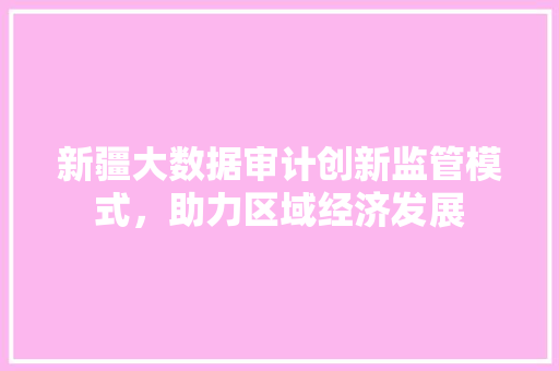 新疆大数据审计创新监管模式,助力区域经济发展 新疆大数据审计创新监管模式,助力区域经济发展