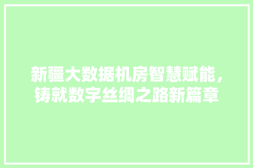 新疆大数据机房智慧赋能，铸就数字丝绸之路新篇章