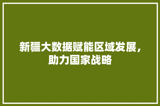 新疆大数据赋能区域发展,助力国家战略 新疆大数据赋能区域发展,助力国家战略