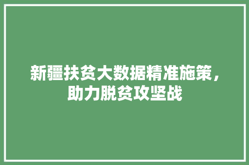 新疆扶贫大数据精准施策，助力脱贫攻坚战