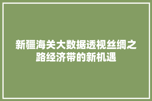 新疆海关大数据透视丝绸之路经济带的新机遇