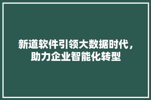 新道软件引领大数据时代,助力企业智能化转型 新道软件引领大数据时代,助力企业智能化转型