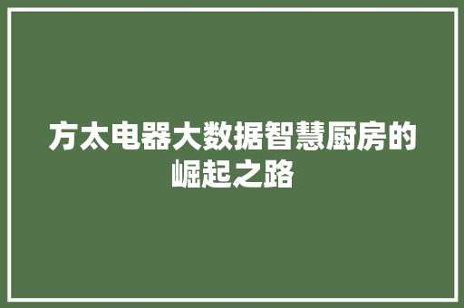 方太电器大数据智慧厨房的崛起之路 方太电器大数据智慧厨房的崛起之路
