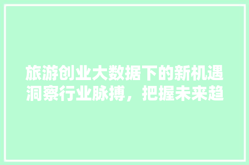 旅游创业大数据下的新机遇洞察行业脉搏，把握未来趋势 网络技术
