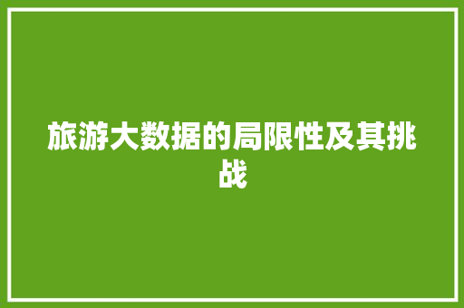 旅游大数据的局限性及其挑战