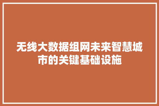无线大数据组网未来智慧城市的关键基础设施