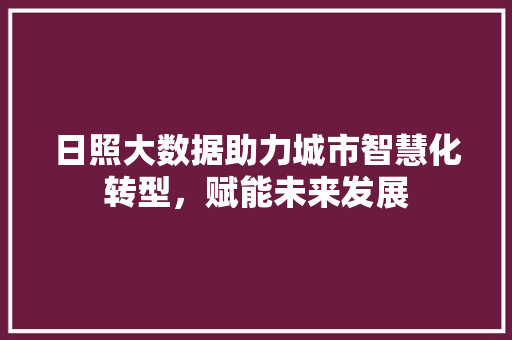 日照大数据助力城市智慧化转型，赋能未来发展