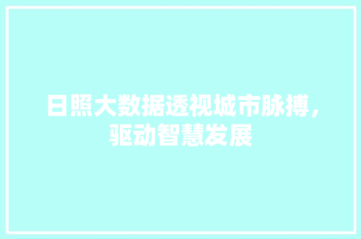 日照大数据透视城市脉搏，驱动智慧发展