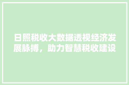 日照税收大数据透视经济发展脉搏，助力智慧税收建设
