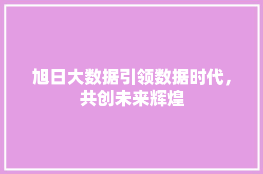 旭日大数据引领数据时代，共创未来辉煌